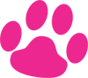 Pet Silk