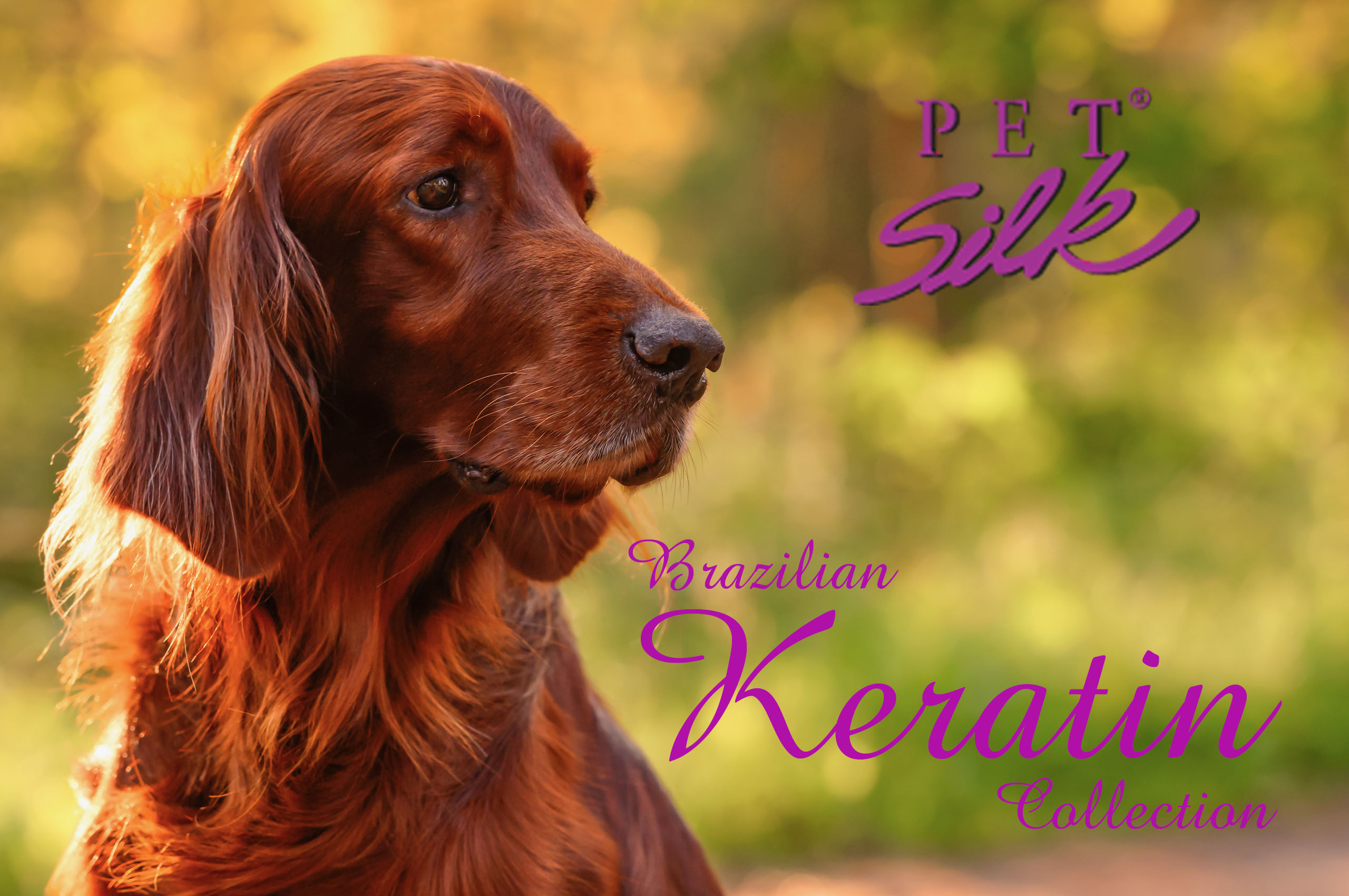 Pet Silk Brazilian Keratin Collection