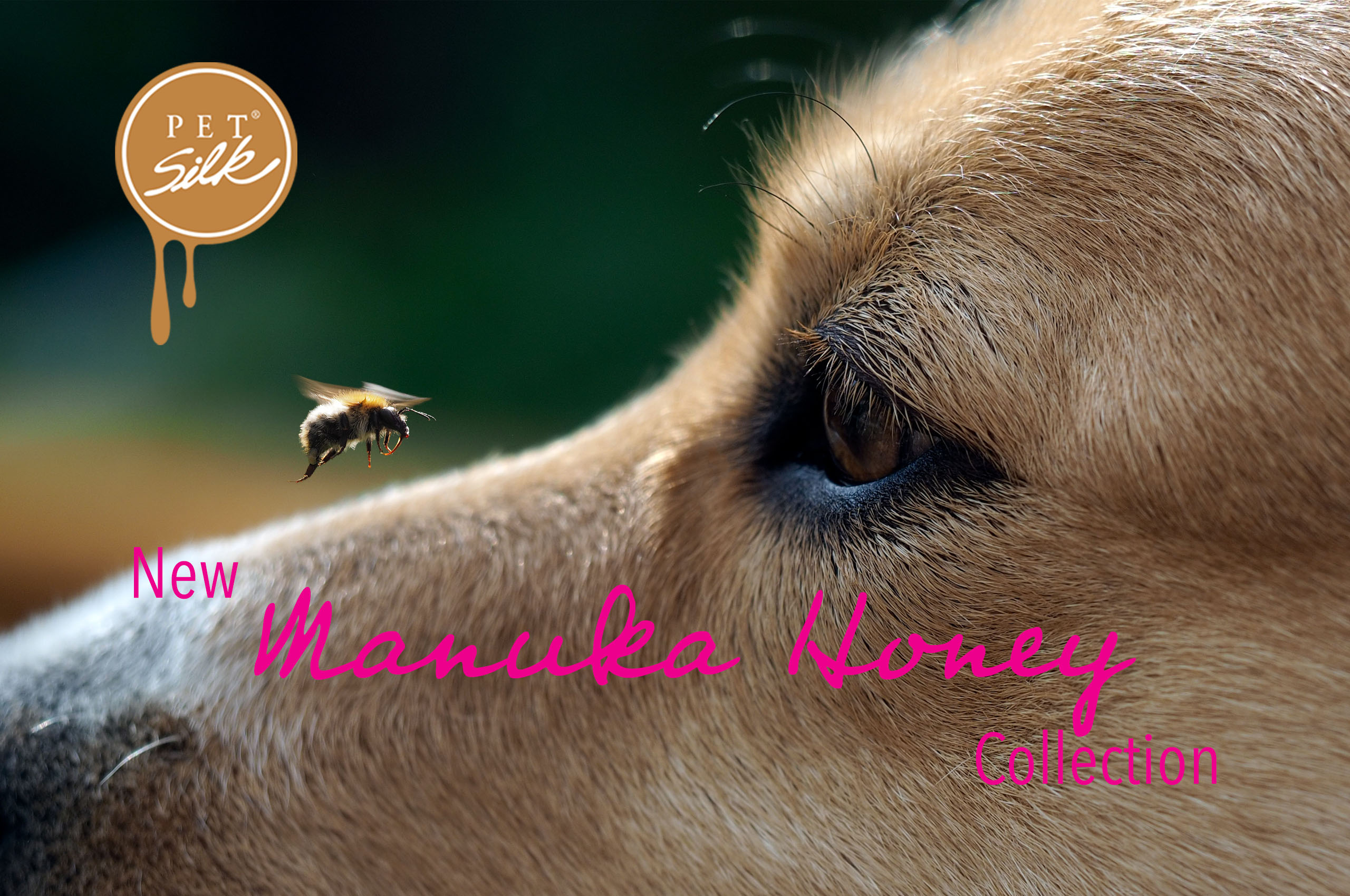 Pet Silk Manuka Honey Collection